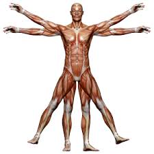 Humans Stock Images