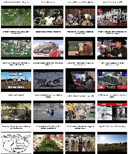 Livestock Instant Mobile Video Site