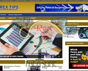 Ready Made Forex Blog Package