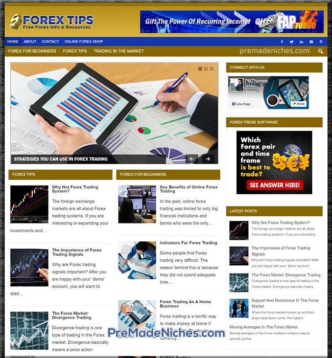 Ready Made Forex Blog Package