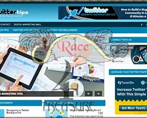 Pre Made Twitter Blog Package