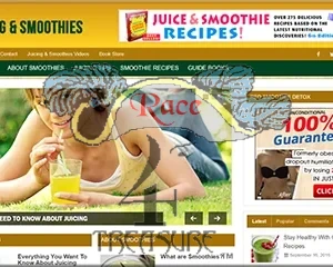 Juicing Smoothies Premade Blog