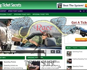 Premade Speeding Ticket Blog