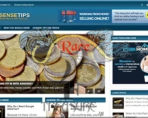 Ready Made Adsense Blog