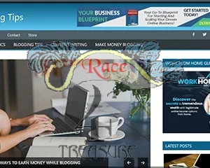 Ready Made Blogging Tips Site