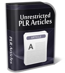 Your Own Online Magazine PLR Article Bundle