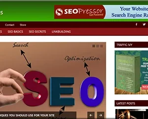 Authentic SEO Tips and Tricks