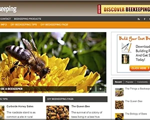 DIY Beekeeping