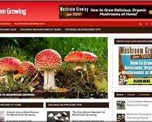 Grow Your Own Mushrooms