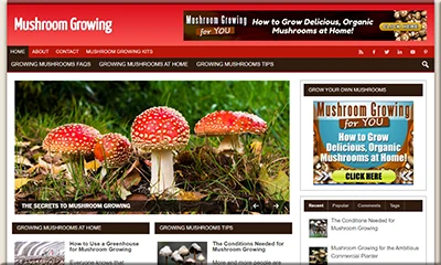 Grow Your Own Mushrooms