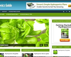Hydroponics Guide