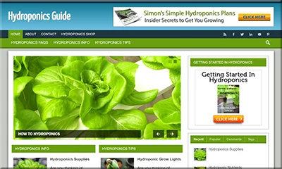 Hydroponics Guide