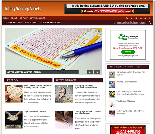 Professional Lottery Strategy Website