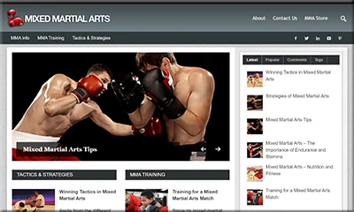 Learn Mixed Martial Arts