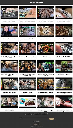 Pet Spiders Instant Mobile Video Site