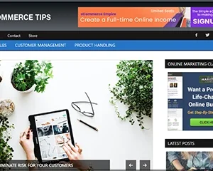 eCommerce Tips and Secrts